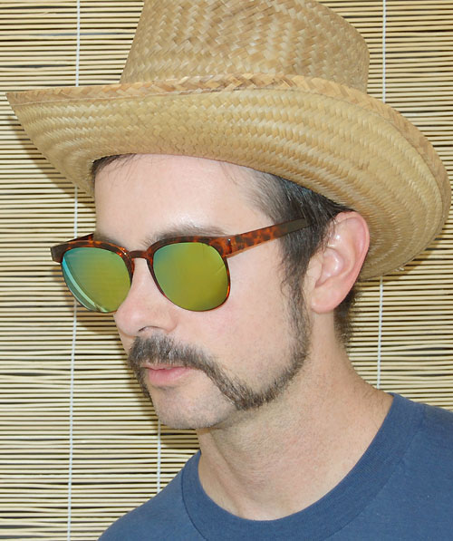 Solglasögon: Elliot Tortoise