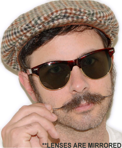 Solglasögon: Westwood Tortoise