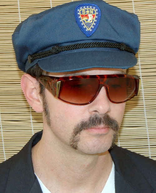 Solglasögon: Trans Am Tortoise