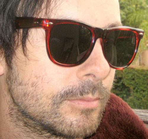 Solglasögon: Dylan Tortoise